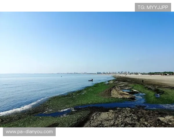 海滨国际:开启梦想生活的理想海滨度假胜地 海滨国际:开启梦想生活的理想海滨度假胜地
